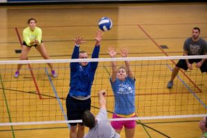 Adult Volleyball Image